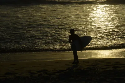 DSC_7263 (Large).JPG